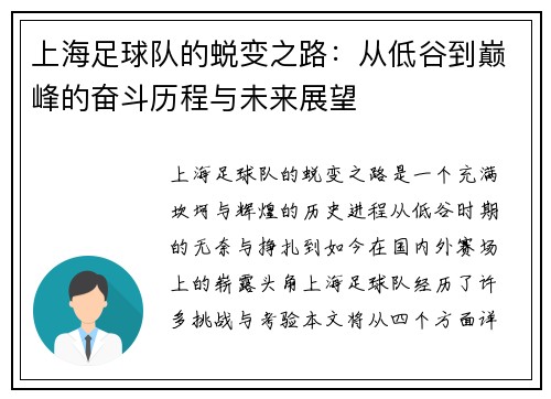 上海足球队的蜕变之路：从低谷到巅峰的奋斗历程与未来展望