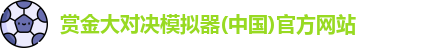 赏金大对决
